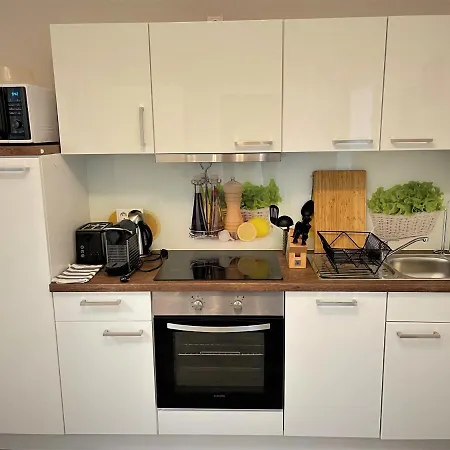 Speicher 21 Apartments Magdeburg Zewnętrze zdjęcie